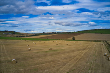 Bales of alfalfa in the field in summer