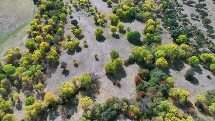 Wall Mural - Autumn landscape seen from a drone in the surroundings of the Voltoya River near Maello. Avila. Castile and Leon. Spain. Europe