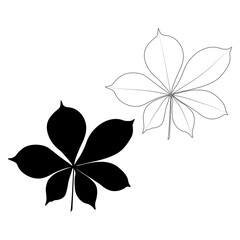 Wall Mural - Set of vector chestnut leaf outline and silhouette black icon. Simple chestnut leaves illustration for logo. Realistic hand drawn leaves illustration set on white background.