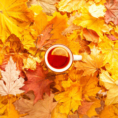 Wall Mural - A cup of black tea with lemon on autumn leaves, top view, autumn concept