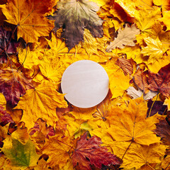 Wall Mural - Autumn concept - background of dry fallen autumn leaves with space for text in the middle - round wooden podium surrounded by autumn leaves, copy space
