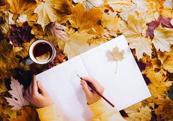 Wall Mural - Autumn flat lay - colorful autumn leaves, a cup of tea with lemon, clean week planner, female hands in a yellow hoodie, pencil in hand