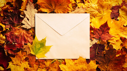 Wall Mural - Autumn concept - background of dry fallen autumn leaves with space for text in the middle - an envelope surrounded by autumn leaves, copy space
