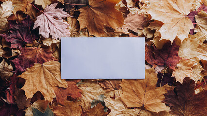 Wall Mural - Autumn concept - background of dry fallen autumn leaves with space for text in the middle - blue envelope surrounded by autumn leaves, copy space