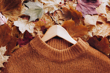 Wall Mural - Autumn concept - a brown knitted sweater on a wooden hanger lies on dry fallen autumn leaves, fragment, close-up