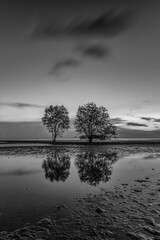 Wall Mural - Blackwhite Panorama Photos at batam bintan island Indonesia