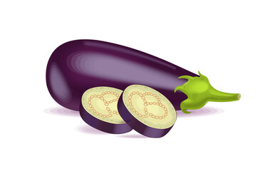 Eggplant vegetable with cut circles. Healthy food. Vector illustration for farm or vegetarian design