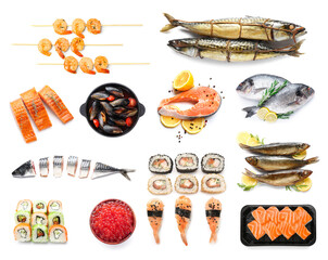 Group of fresh seafood on white background