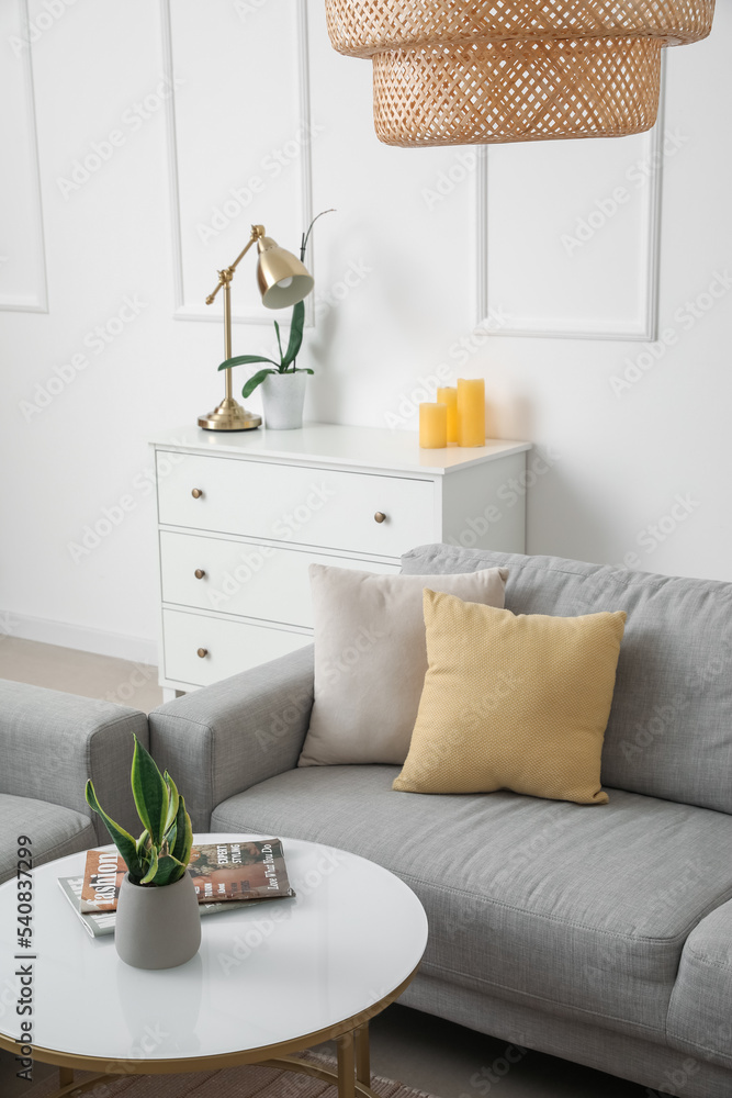 Interior of light living room with grey sofa