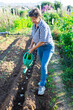 © JackF - Positive elderly woman enjoying her favorite gardening activity, watering vegetable beds on sunny day.