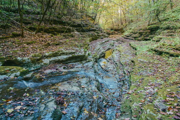 Canvas Print - Raven Run Creek