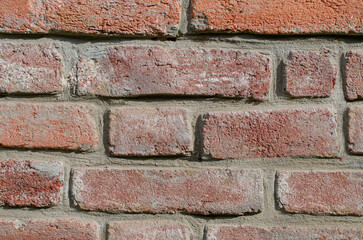 Poster - old brick wall texture, grunge background