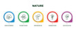 editable thin line icons with infographic template. infographic for nature concept. included american hornbeam tree, bitternut hickory tree, northern red oak tree, shagbark hickory black willow