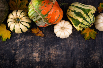 Wall Mural - Autumn fall background with pumpkins