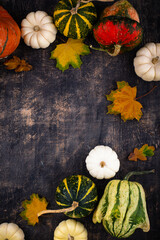 Wall Mural - Autumn fall background with pumpkins