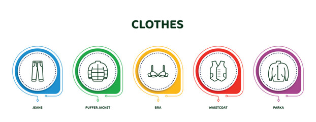 Wall Mural - editable thin line icons with infographic template. infographic for clothes concept. included jeans, puffer jacket, bra, waistcoat, parka icons.