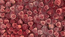 Colorful, Pink Flower Blooms Arranged In The Shape Of A Wall. Romantic, Elegant, Roses Composed To Create A Bright Floral Background. 3D Render