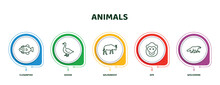 Editable Thin Line Icons With Infographic Template. Infographic For Animals Concept. Included Clownfish, Goose, Wildebeest, Ape, Wolverine Icons.