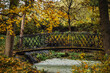 Metalowy mostek na tle jesiennych drzew. 