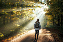 Woman Walks On Road In Autumn Forest With Sunbeam Shine Through Trees