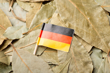 Poster - Paper flag of Germany on bay leaf. Origin of bay leaf, business of growing bay leaf in Germany concept