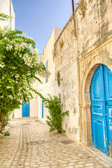 Wall Mural - Tunis landmarks, HDR Image