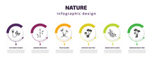 Nature Infographic Template With Icons And 6 Step Or Option. Nature Icons Such As Eco Energy Source, Bamboo Branches, Palm Islands, Chestnut Oak Tree, Branch With Leaves, American Beech Tree Vector.