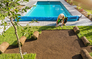 Wall Mural - Gardener Installing Roll Out Lawn Next to Pool