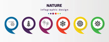Nature Infographic Template With Icons And 6 Step Or Option. Nature Icons Such As Hive, Red Pine Tree, Poplar, Clematis, Astrantia, Jonquil Vector. Can Be Used For Banner, Info Graph, Web,
