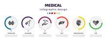 Medical Infographic Element With Icons And 6 Step Or Option. Medical Icons Such As Thyroid Gland, Gallbladder, Drugs, Liver, Brain In Bald Male Head, Cure Vector. Can Be Used For Banner, Info Graph,