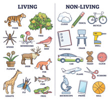 Living Vs Non Living Things Comparison For Kids Teaching Outline Diagram. Labeled Educational Scheme With Nature Items And Human Made Objects Vector Illustration. Primary School Activity For Children.