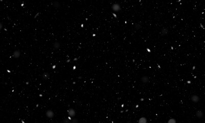 Wall Mural - falling snow isolated on black background