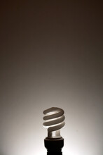 Ecologically Friendly Compact Fluorescent Light Bulb