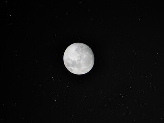 Wall Mural - full moon in the night