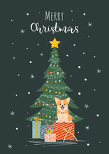 Christmas And New Year Card With Corgi Dog With Gift Boxes And Decorated Christmas Tree. Vector.