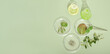 homeopathy medicine concept. wild herbs and plants in petri dishes and glassware. alternative medicine and naturopathy ingredients. banner, top view.