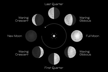 Wall Mural - moon phases scheme sphere shadow cycle astronomy icon set. vector illustration background
