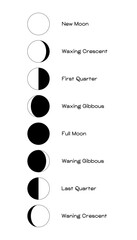 Wall Mural - moon phases scheme sphere shadow cycle astronomy icon set. vector illustration background