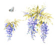 Set of purple wisteria flowers and leaves. Great for decor and spring decoration