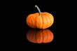 Fresh pumpkin isolated on black background with reflection. Autumn season.