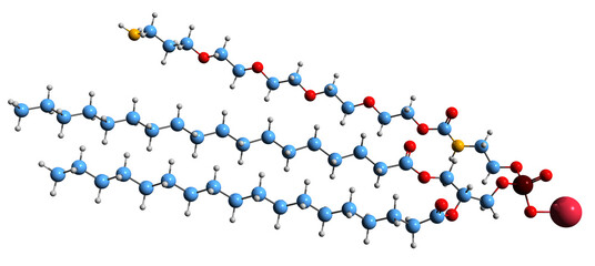 Sticker -  3D image of Phospholipid-PEG-NH2 skeletal formula - molecular chemical structure of phospholipid isolated on white background
