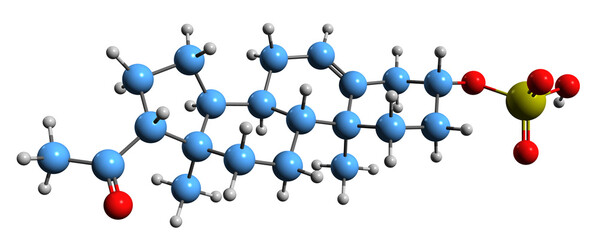 Poster - 3D image of Pregnenolone sulfate skeletal formula - molecular chemical structure of  endogenous excitatory neurosteroid isolated on white background