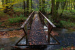 Zielony mosteczek ugina się. Mostek na szlaku turystycznym w jesiennym i kolorowym lesie.