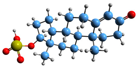 Poster -  3D image of Testosterone sulfate skeletal formula - molecular chemical structure of endogenous steroid isolated on white background