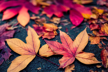 fall background, fall leaves, autumn season.