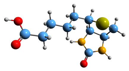 Poster -  3D image of Biotin skeletal formula - molecular chemical structure of vitamin B7 isolated on white background
