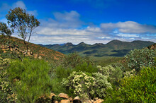 Landscape Along The St Mary Peak Hike, Wilpena Pound, Flinders Ranges, South Australia