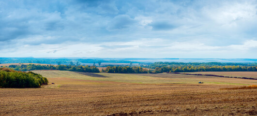 Wall Mural - Agriculture plowed field on an autumn day.. A plowed field with forest strips of autumn trees and a blue sky