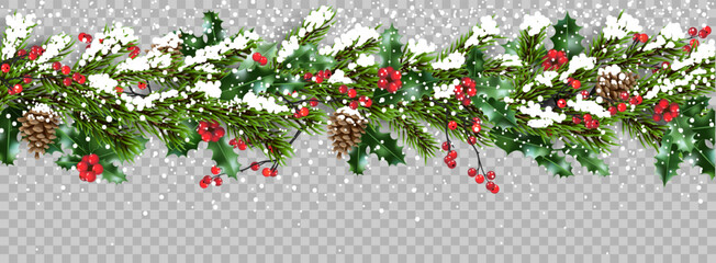 Wall Mural - transparent banner with snow and branches