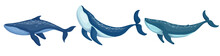 Set Of Blue Whale Aquatic Mammals. Cartoon Vector Graphics.